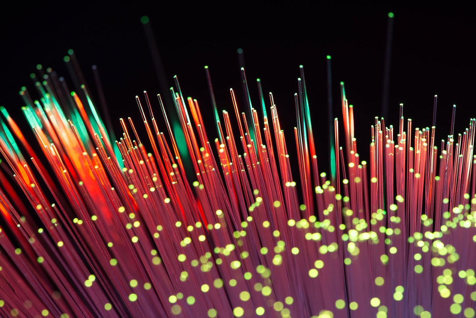 shutterstock_211211362